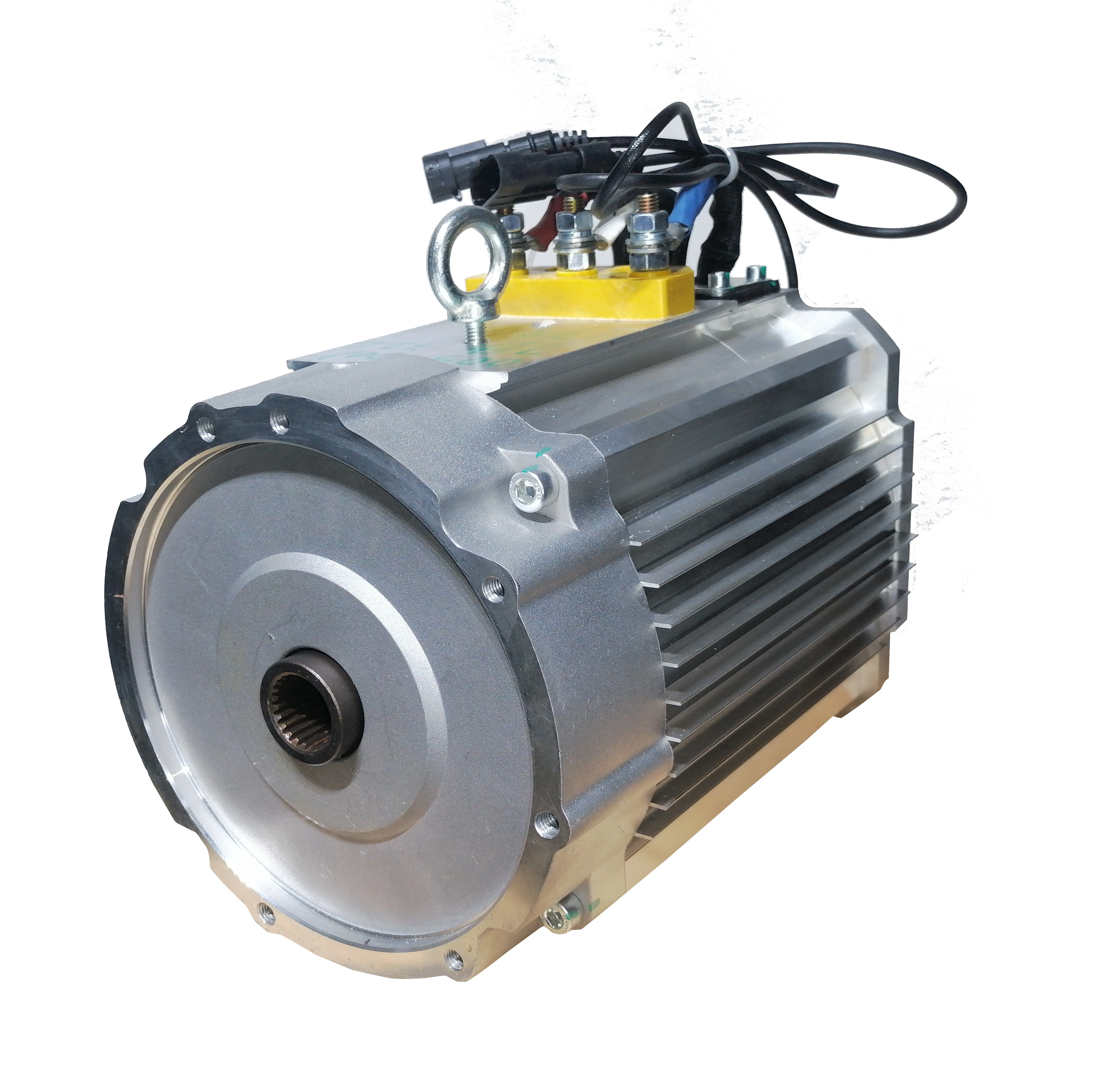 YS145 Trike Motor